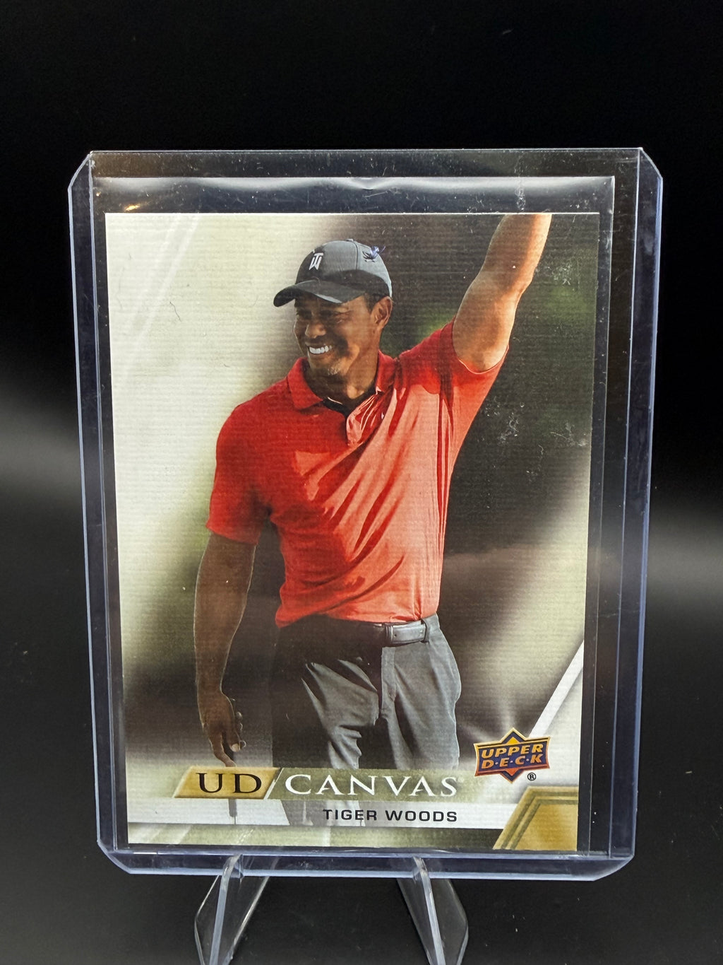 2024 Upper Deck UD Canvas BG Tiger Woods