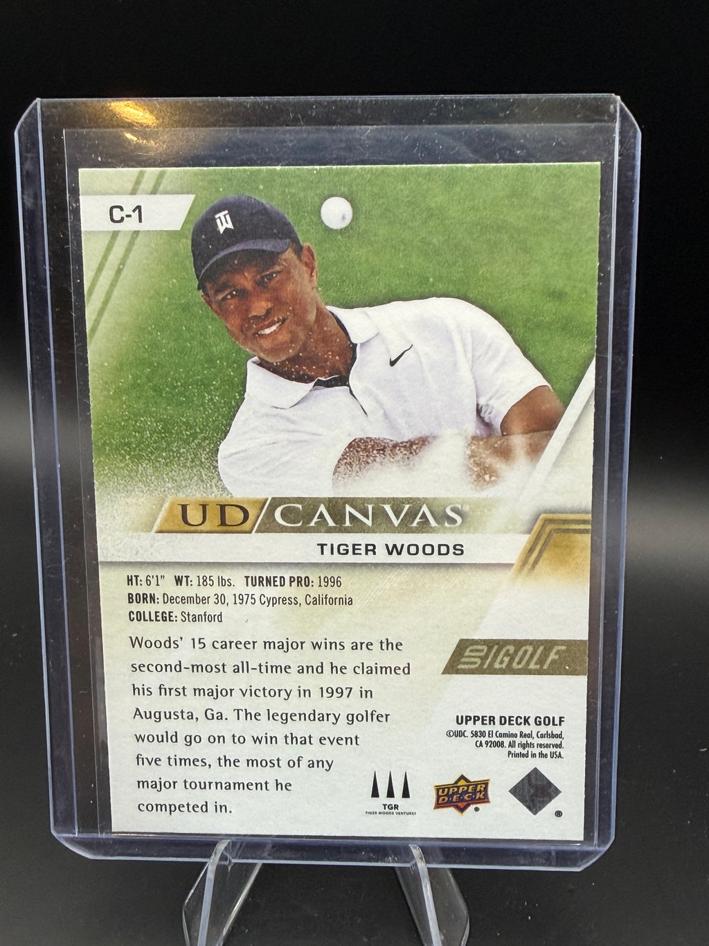 2024 Upper Deck UD Canvas BG Tiger Woods